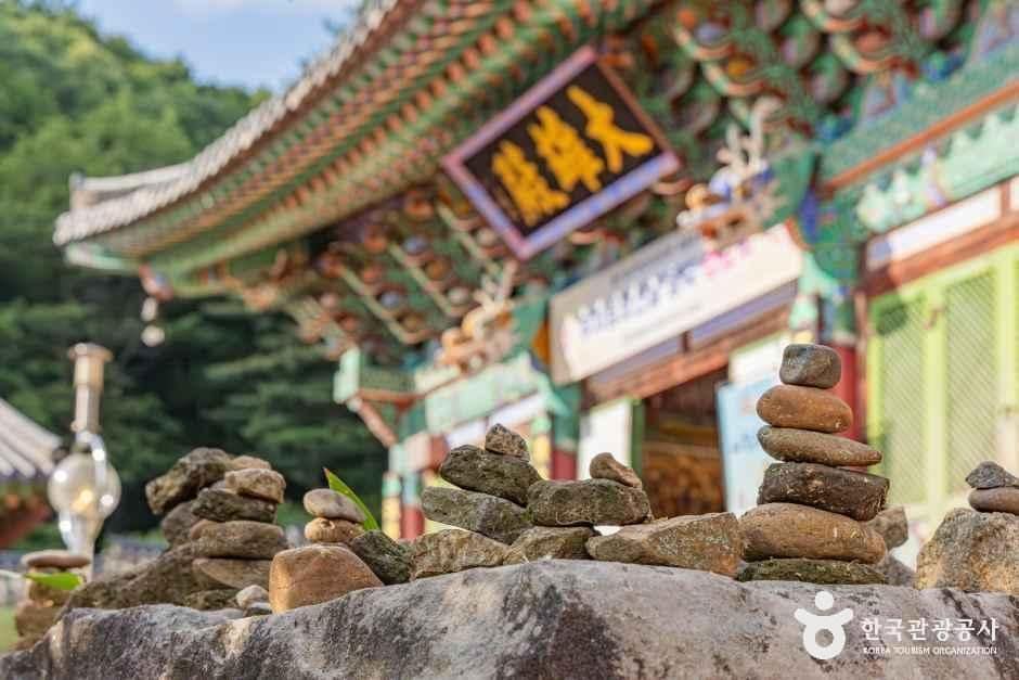 세종특별자치시_비암사_외부_3.jpg