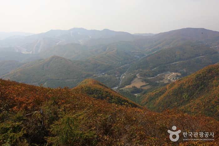 매봉산 풍력발전단지_10