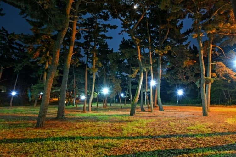 충남_태안군_바다여행캠핑장_풍경5