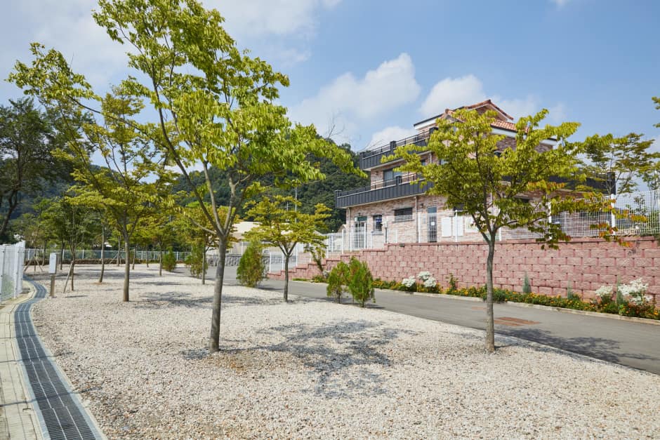 경기_연천_리버힐캠핑장_리사이징_05
