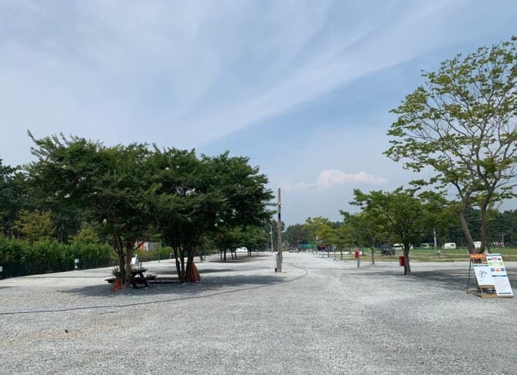 충남_태안군_몽산포그린캠핑장_풍경5