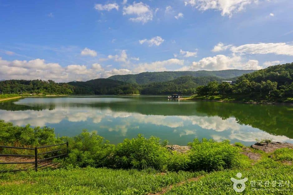 대구동구 단산 저수지 (1)