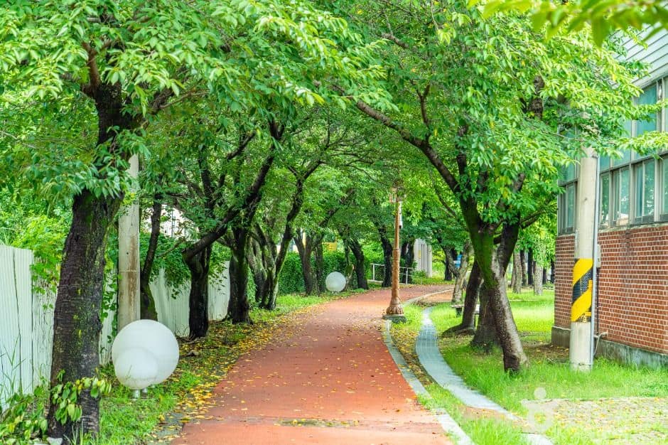 구례_서시천체육공원 (4)