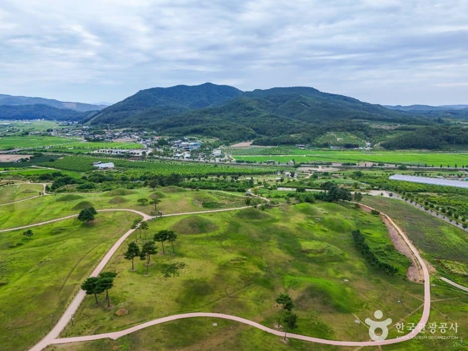 의성_의성 금성산 고분군 (1)