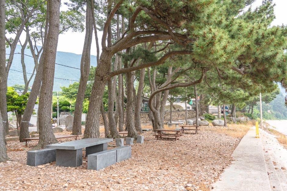 고흥_금장해수욕장 (1)