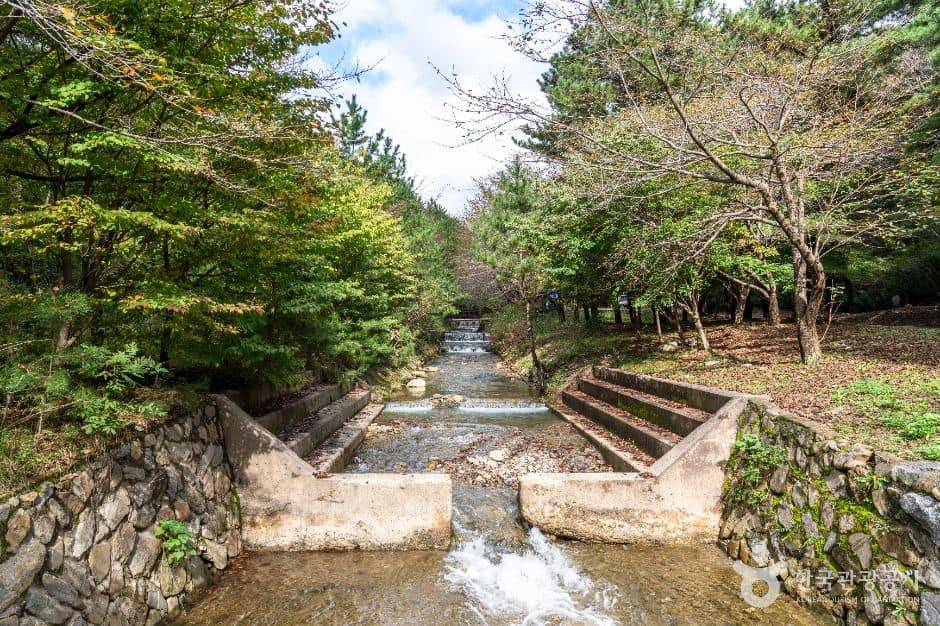 서천_국립 희리산해송자연휴양림 (6)