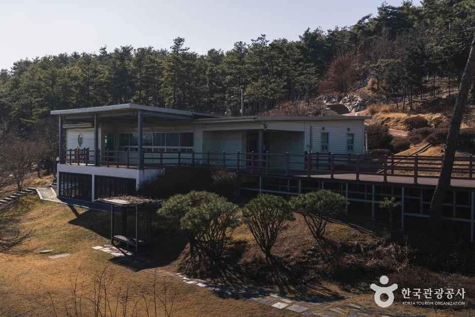 경기_화성_화성시 우리꽃 식물원_내부_4.jpg