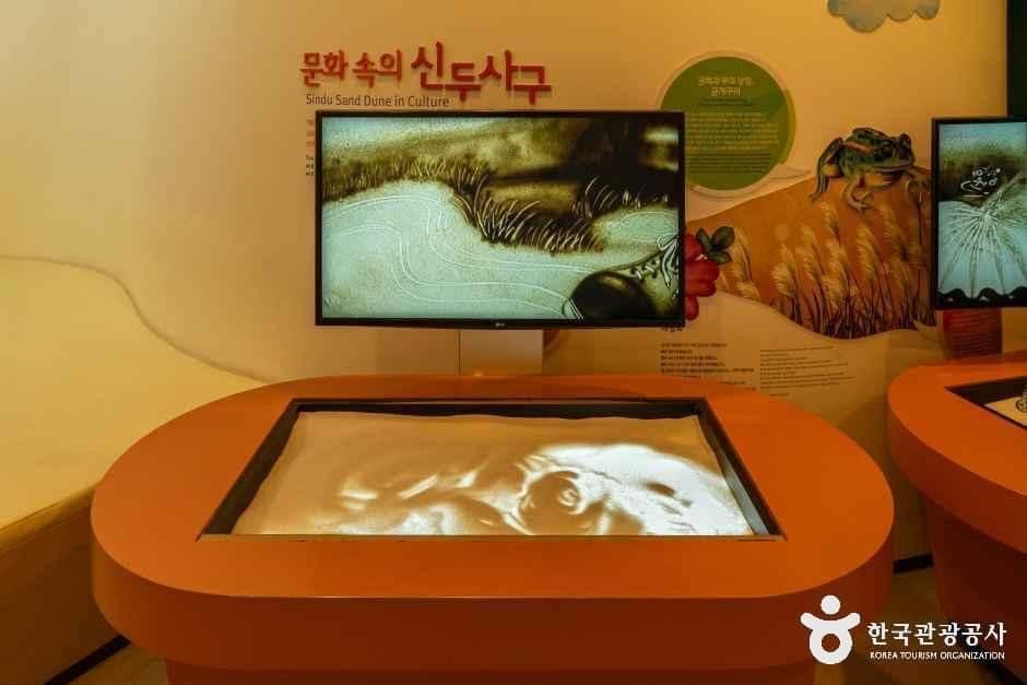 충남_태안_신두리사구센터_내부_4.jpg