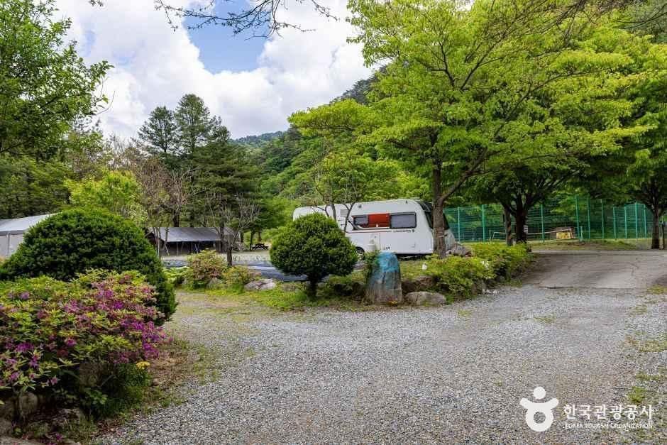 제천_스카이운학오토캠핑장 (4).jpg
