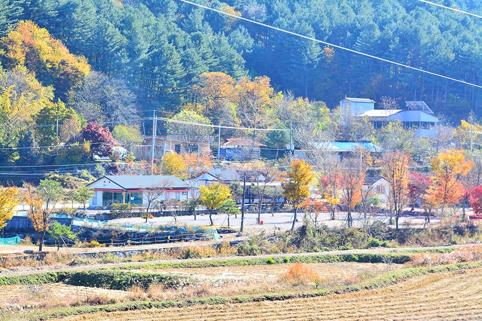 경기도_가평군_한송오토캠핑장_원경