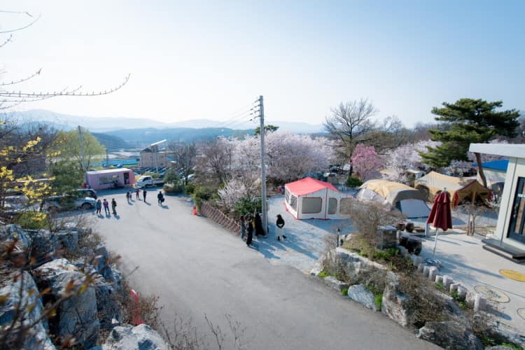 경기_안성시_용인비봉산캠핑장_풍경1