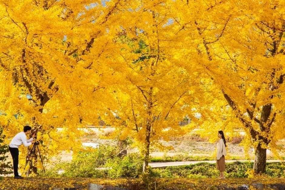 관광두레 주민사업체 (주)보령은행빵(2)