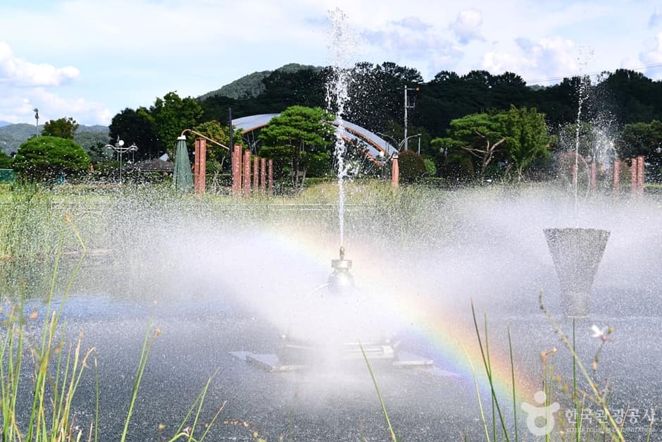 전남_화순_이용대체육관 (13)
