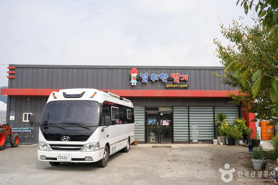 널위한딸기농장 (2)