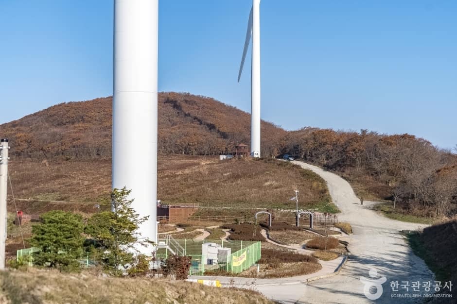 청옥산전망대 (1)