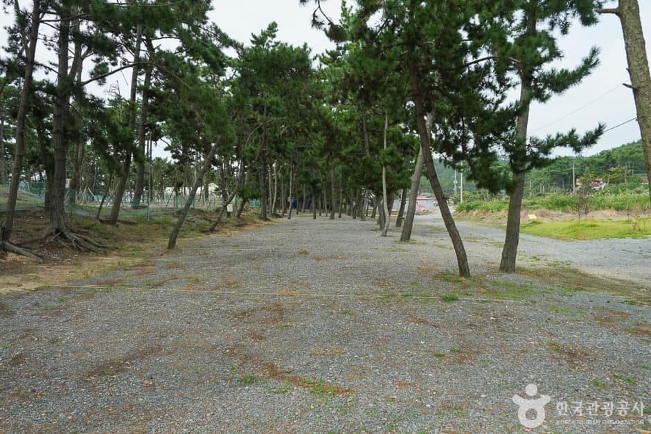 어은돌힐링야영장 (4)