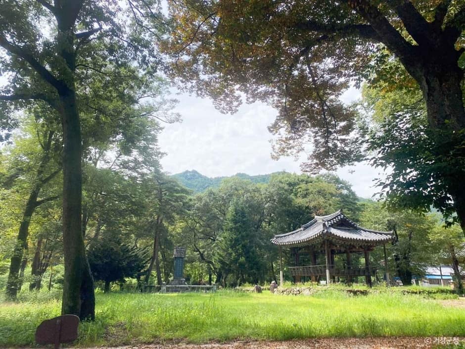 거창_갈계숲 (2)