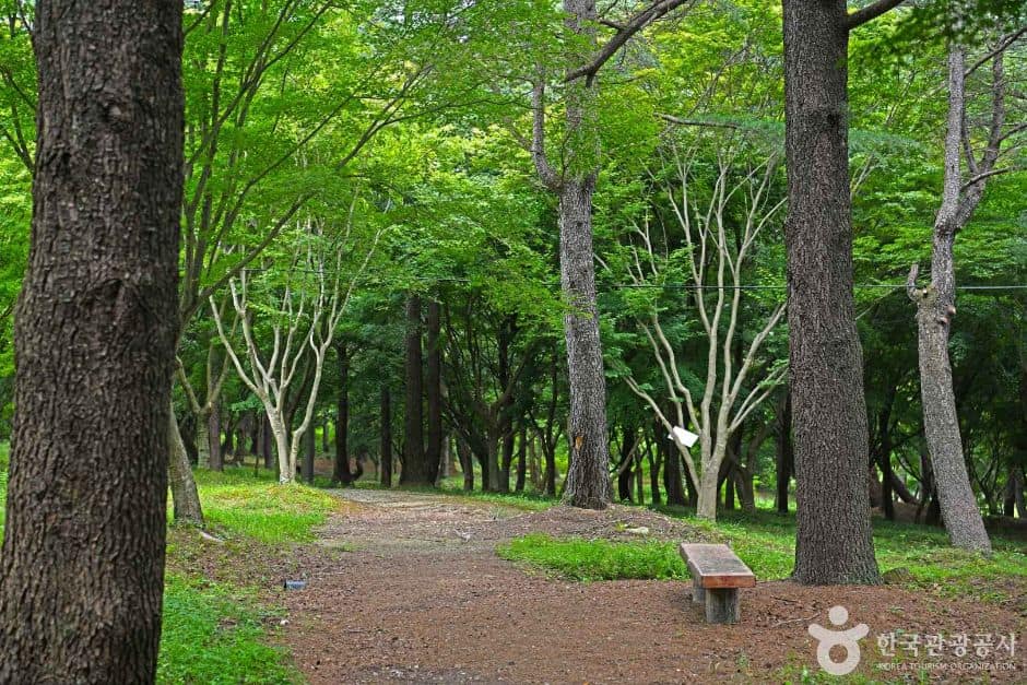 내장산수목원 (5)