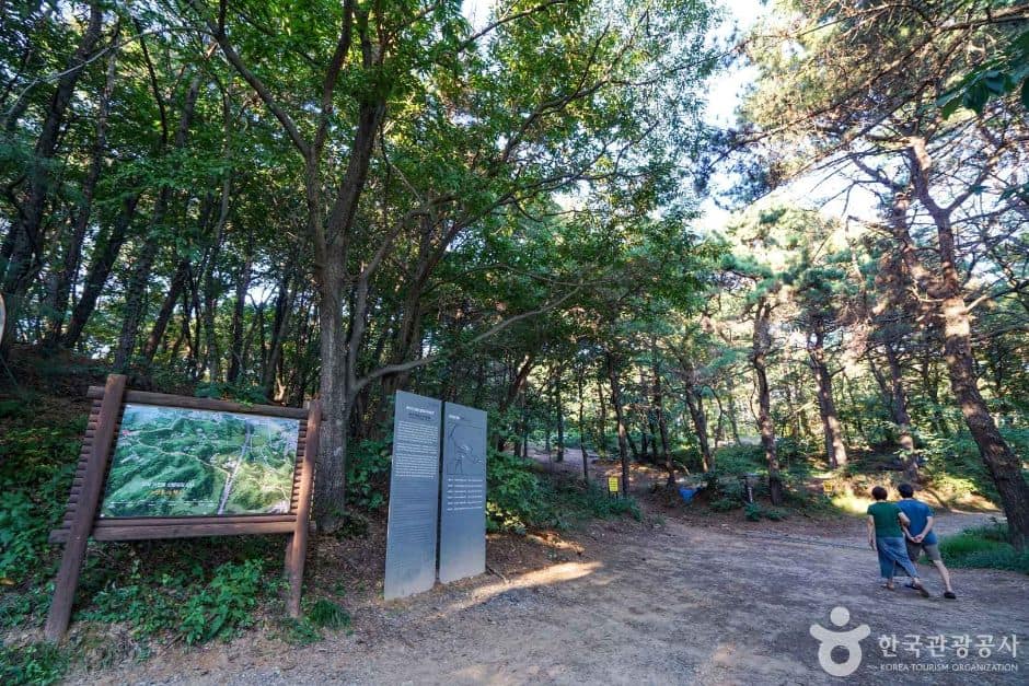 경기_파주_교하동 고인돌 산림욕장 (7)