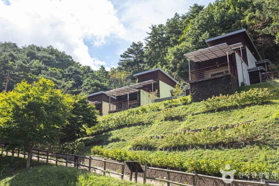 영양_흥림산자연휴양림 (8)