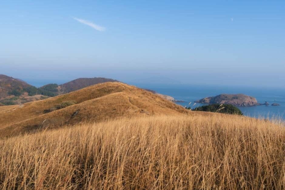 인천 굴업도 가는법 배편 예약부터 개머리언덕 코끼리 바위 백패킹 총정리_굴업도_5