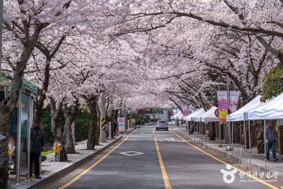 경남_통영_봉숫골벚꽃길_외부_04.jpg