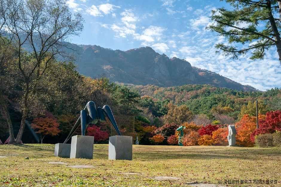 정읍_내장산조각공원 (5).jpg