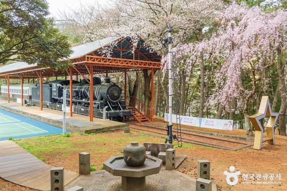 제주_삼무공원 (1).jpg