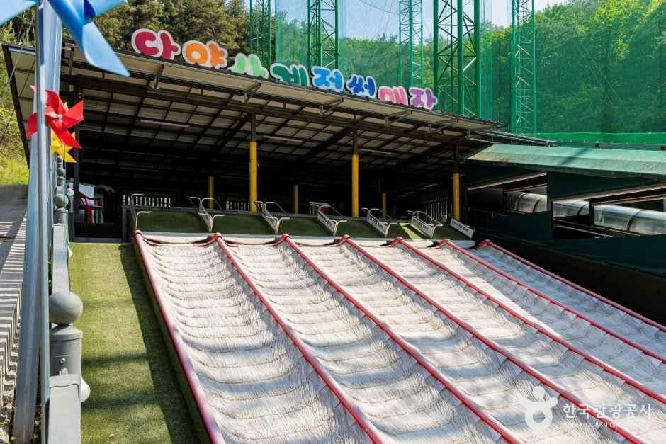 단양_단양 사계절썰매장 (6).jpg