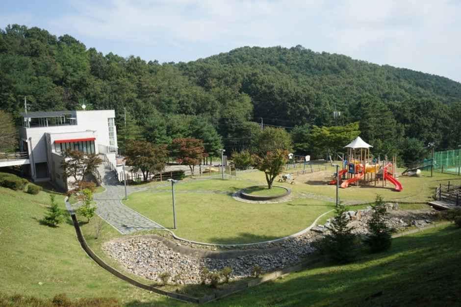 강화_덕산국민여가캠핑장 (2).JPG