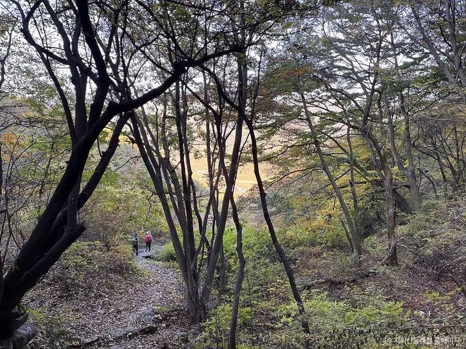 하동_[지리산둘레길] 위태-하동호 (1).jpg