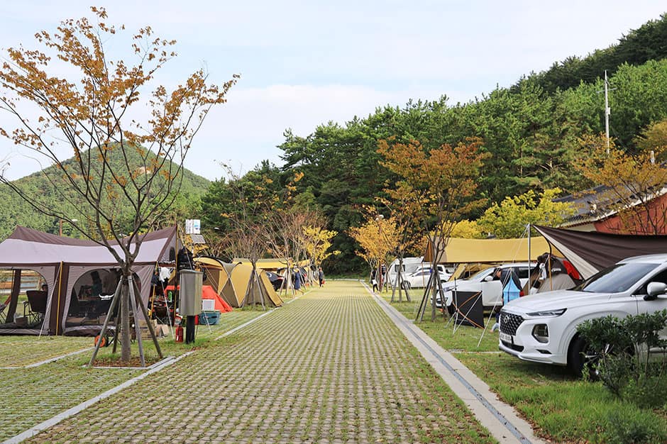 통제영오토캠핑장_전경1