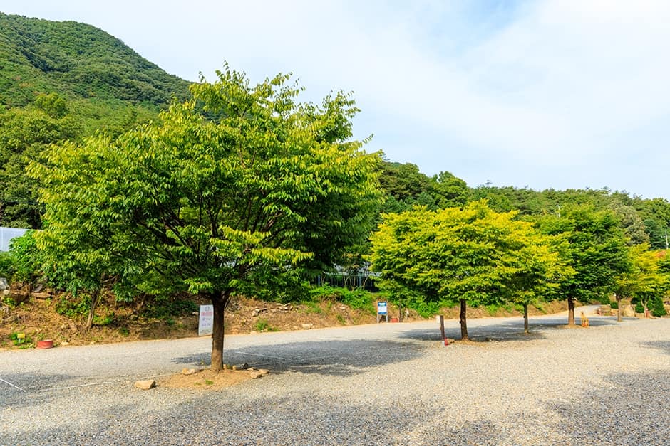 충북_괴산군_화양숲노리캠핑장_캠핑장_23