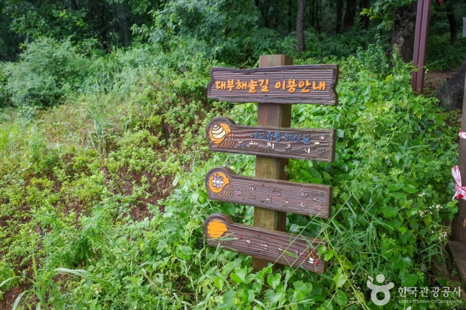 대부해솔길 1코스 (8)