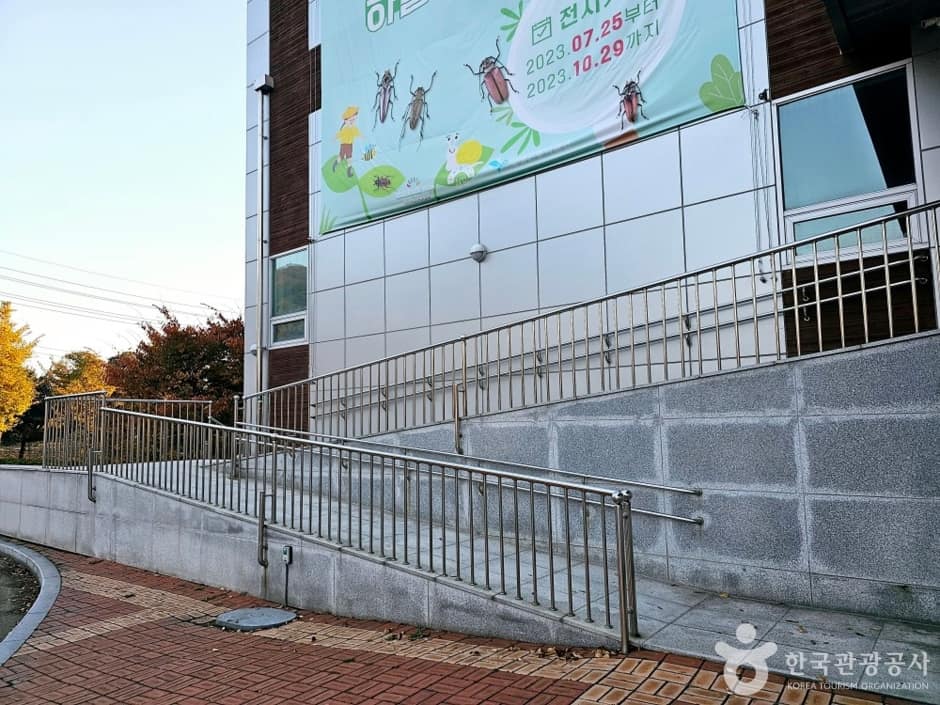 양평곤충박물관_1