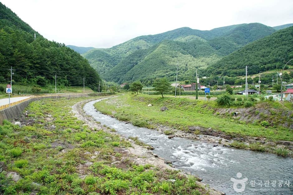 정선가리왕산마을 (10)