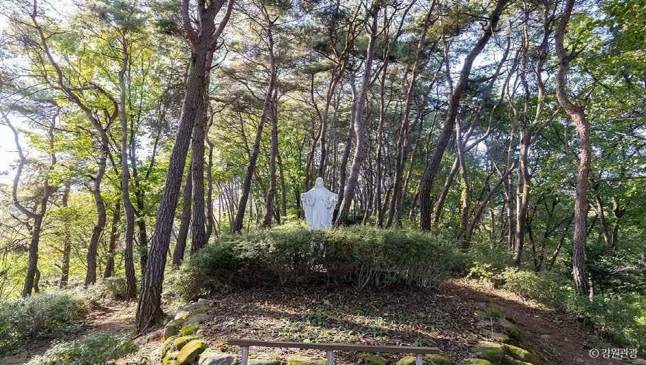 원주_용소막성당 (7)