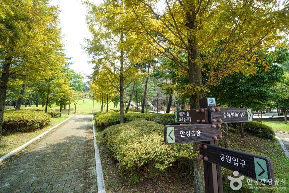 안정근린공원 (2)