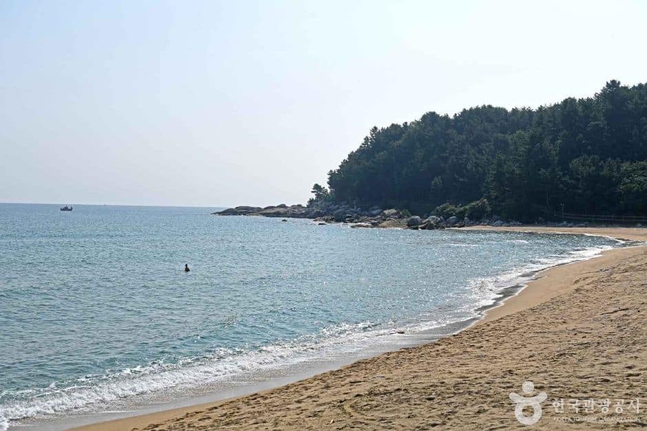 양양_잔교리해변 (3)