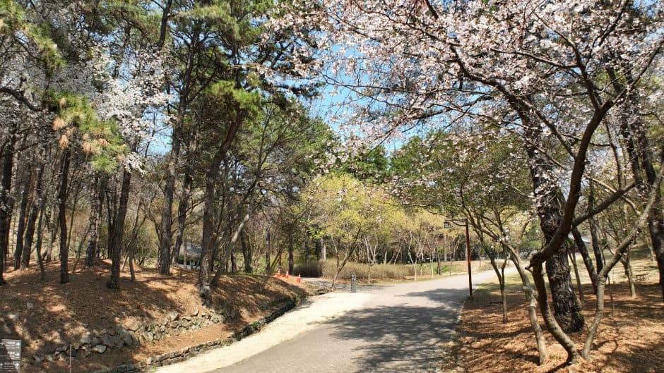 부소산 (1)