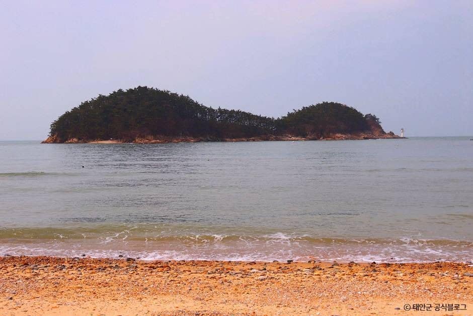 태안_천리포해수욕장 (4)