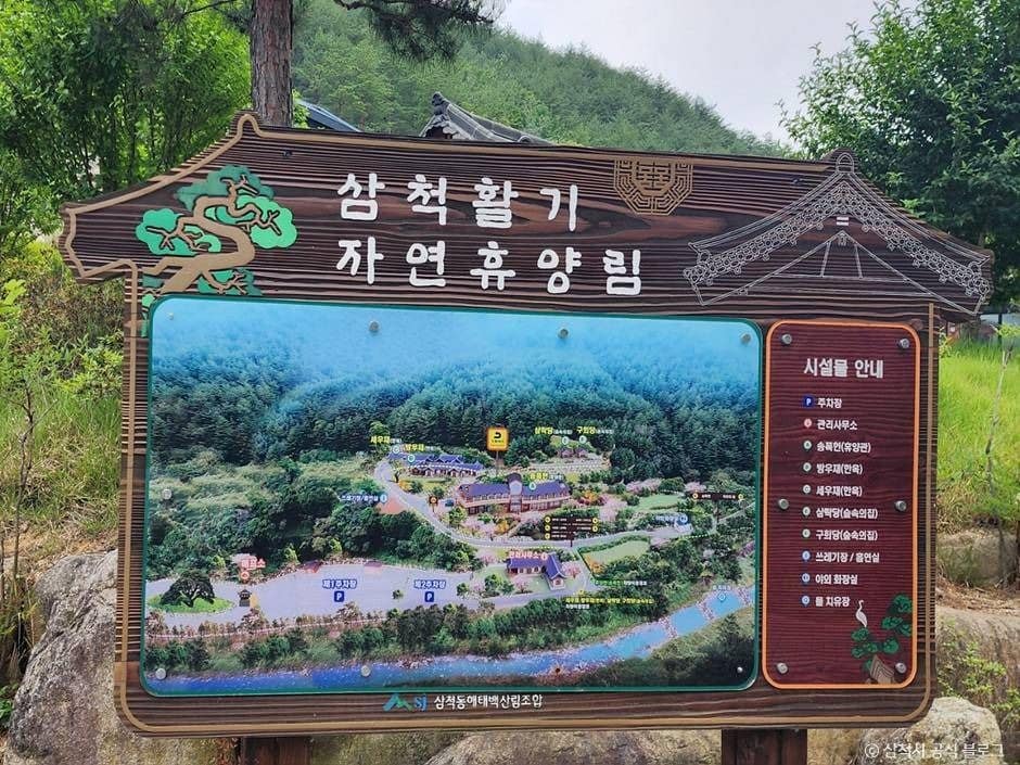 삼척_삼척활기자연휴양림 (1)