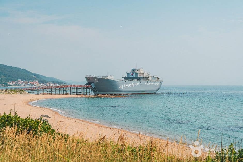 영덕_장사해수욕장 (1)