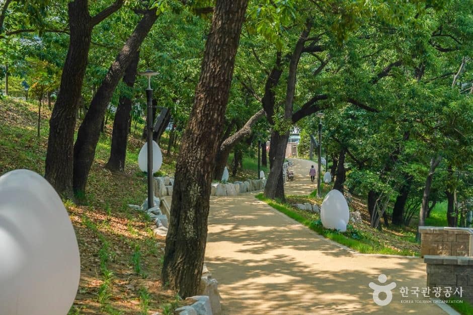 대구_대봉배수지 (5)