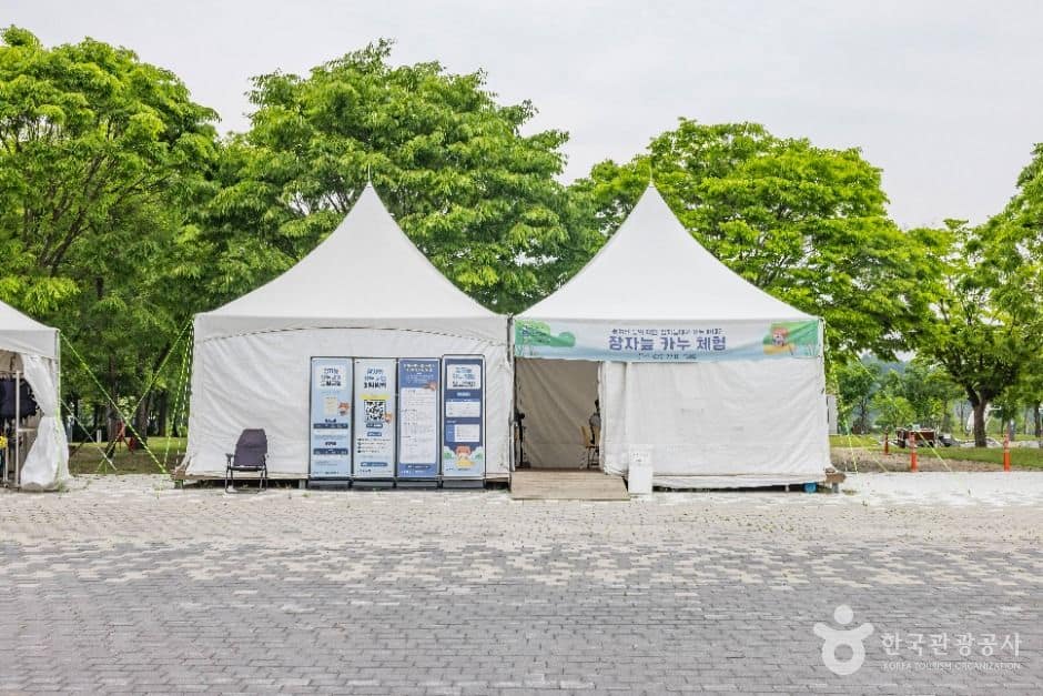 충주_충주 장자늪 카누체험장 (2)