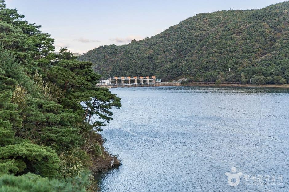 괴산_괴산호 (7)