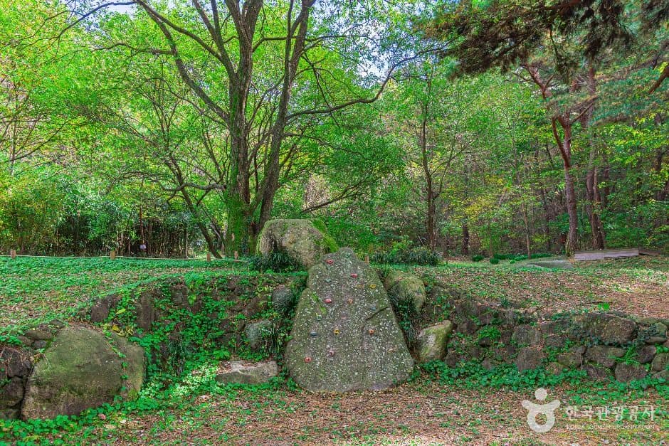 광주_제봉산 마법의 숲 체험원 (6)