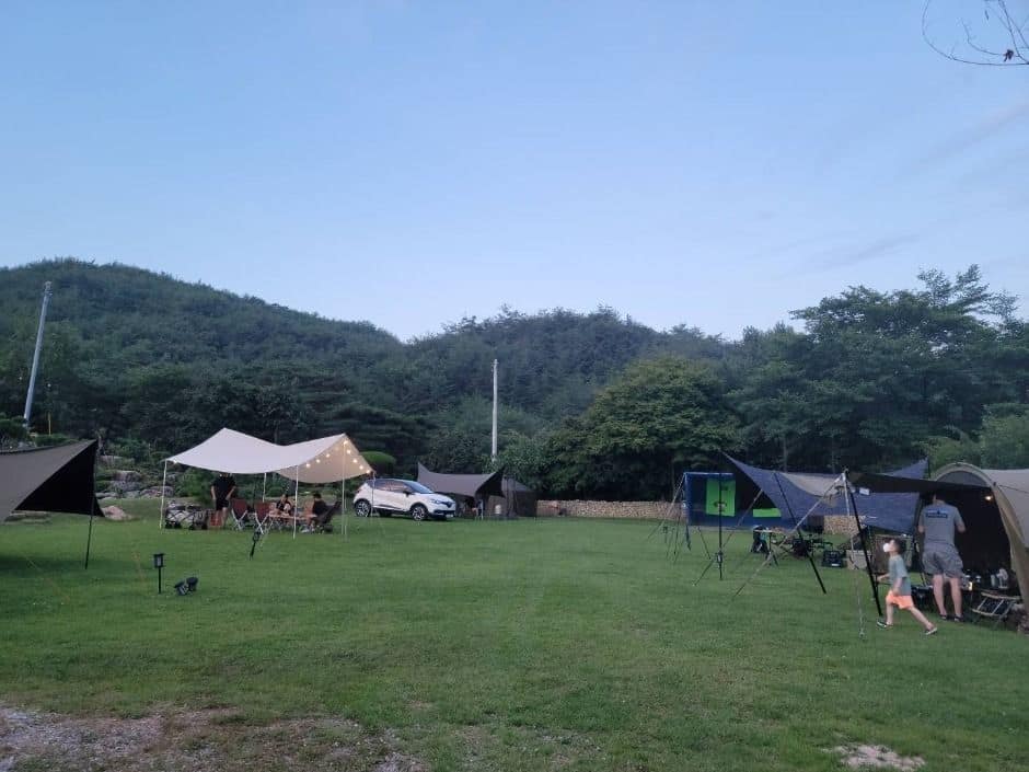 문경_문경오미자체험촌 (5)