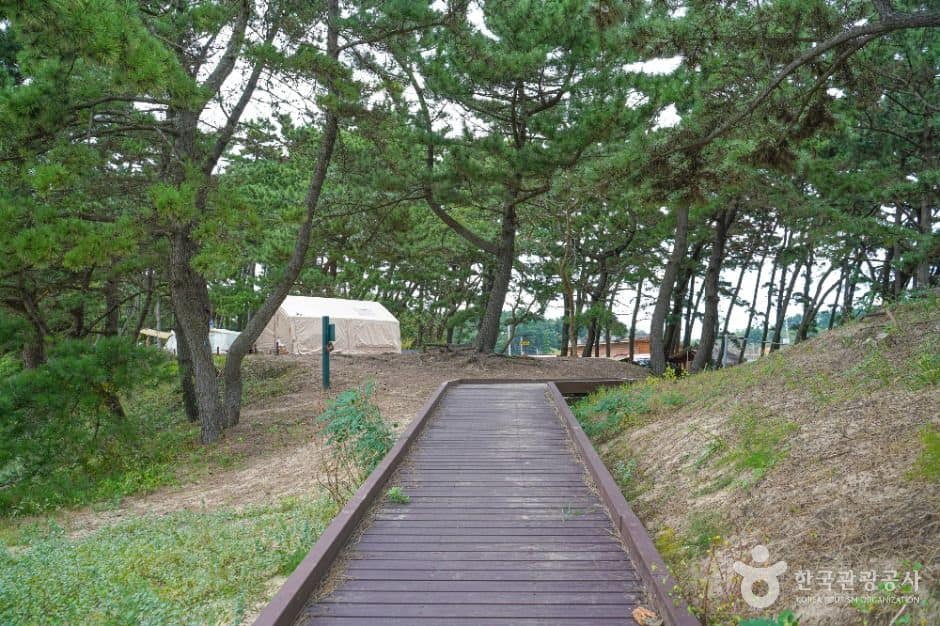 태안_구례포천사길 (2)
