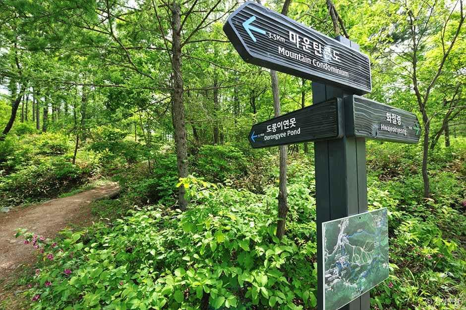 정선_도롱이 연못 (1).jpg